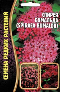 Спирея Бумальда (Spiraea bumaldii)  0,01гр	 ЧК