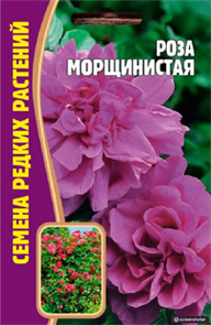 Роза Морщинистая (Rosa rugosa)  10шт/5								