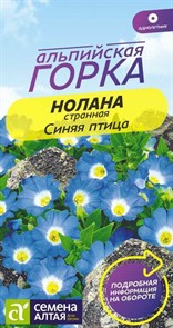 Нолана странная Синяя птица (Семена Алтая)