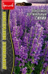 Пенстемон Вертикальный синий 0.1г Григорьев