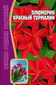 Плюмерия Красный Турмалин  3шт ЧК