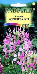 Клеома Королева роз 0,3 г (Гавриш)