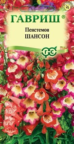 Пенстемон Шансон 0,1гр Гавриш