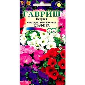 Петуния низкая Глафира смесь 0,1г ГШ