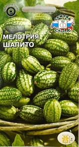 Мелотрия Шапито лиана 0,05г Седек