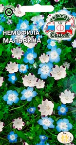 Немофила Мальвина смесь 0,05г Седек