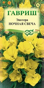 Энотера Ночная свеча миссурийская 0,2гр ГШ