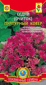 Седум (Очиток) Пурпурный ковер 100шт Плазмас