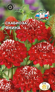 Скабиоза Янина  0,1гр Седек