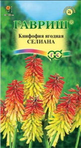 Книфофия ягодная (Тритома) Селиана* 0,05 г (Гавриш)