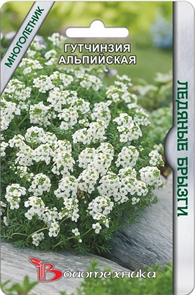 Гутчинзия альпийская Ледяные брызги 10шт Биотехника