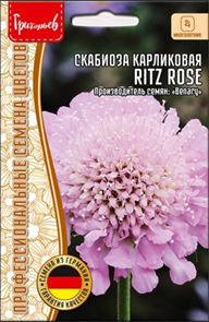 Скабиоза карликовая Ritz Rose 5шт Григорьев