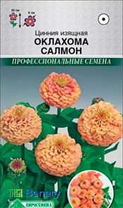 Цинния изящная Оклахома Салмон, 10 шт /Benary (ЕС)