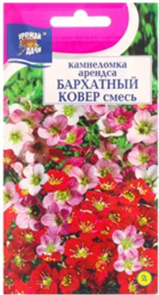 Камнеломка Бархатный ковёр смесь 0,01гр Ур.удачи