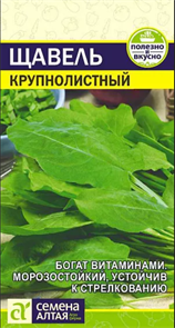Щавель Крупнолистный (Семена Алтая)	 70072