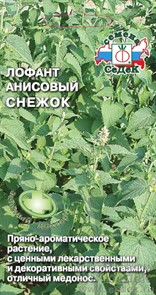 Лофант анисовый Снежок 0,1гр Седек