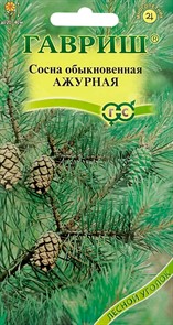 Сосна обыкновенная Ажурная 0,2гр ГШ