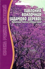 Павлония войлочная (Адамово дерево)  10шт ЧК