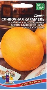 Дыня Сливочная Карамель  10-12шт УД