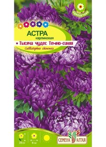 Астра Тысяча чудес темно-синяя карликовая (Семена Алтая)