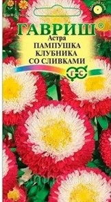 Астра Пампушка клубника со сливками 0,3гр ГШ