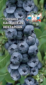 Голубика канадская Нектарная (СеДек)