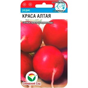 Редис Краса Алтая  2гр Сибирский Сад