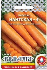 Морковь Нантская 4 2гр/10