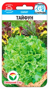 Салат Тайфун 0,5гр Сиб Сад