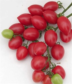 Томат Малиновое пламя 10шт