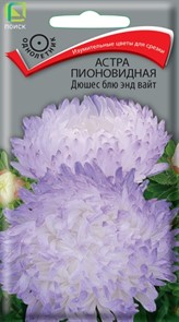 Астра (однолетняя) пионовидная Дюшес блю энд вайт 0,3гр.Поиск