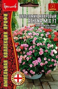 Бальзамин Athena Mix F1(Уоллера )5сем Григорьев