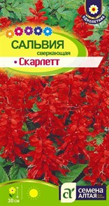 Сальвия Скарлет Сверкающая 0,1гр СА Сальвия Скарлет Сверкающая 0,1гр СА