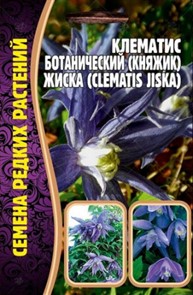 Клематис Княжик Жиска ботанический 3шт/5