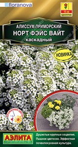 Алиссум Норт фэйс вайт каскадный 10шт Аэлита