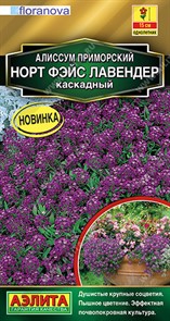 Алиссум Норт фэйс лавендер каскадный 10шт Аэлита