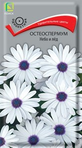 Остеоспермум Небо и лёд 0,1гр Поиск