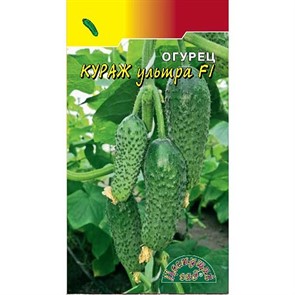 Огурец Кураж ультра Цвет Сад