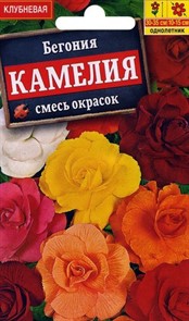 Бегония Камелия смесь крупноцв. 10шт Аэлита