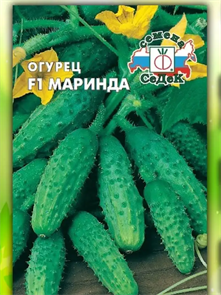 Огурец Маринда F1 0,15г Седек Огурец Маринда F1 0,15г Седек