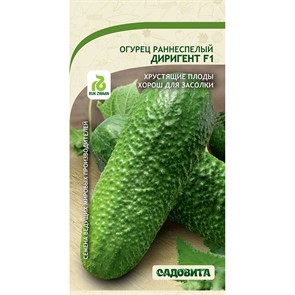 Огурец Диригент F1 5шт Rijk Zwaan/Садовита