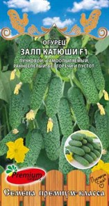 Огурец Залп Катюши F1 5шт/10 Огурец Залп Катюши F1 5шт/10