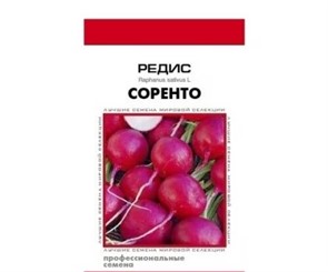Редис Сорренто 60шт ССов Редис Сорренто 60шт ССов