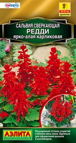 Сальвия Редди ярко-алая карликовая 7шт Аэлита Сальвия Редди ярко-алая карликовая 7шт Аэлита