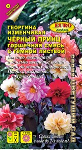 Георгина Черный принц смесь 0,2гр Аэлита Георгина Черный принц смесь 0,2гр Аэлита