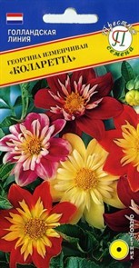 Георгина Коларетта изменч. 20шт Престиж Георгина Коларетта изменч. 20шт Престиж