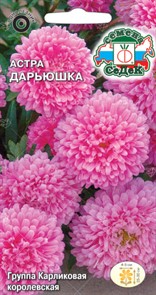 Астра Дарьюшка 0,2гр Седек Астра Дарьюшка 0,2гр Седек