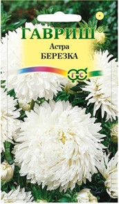 Астра Березка, однолетняя (воронежская белая) 0,3 г (Гавриш) Астра Березка, однолетняя (воронежская белая) 0,3 г (Гавриш)