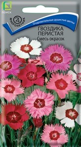 Гвоздика Перистая Смесь 0,3гр Поиск Гвоздика Перистая Смесь 0,3гр Поиск