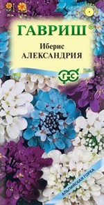 Иберис Александрия/Альпийская горка 0,1гр ГШ Иберис Александрия/Альпийская горка 0,1гр ГШ
